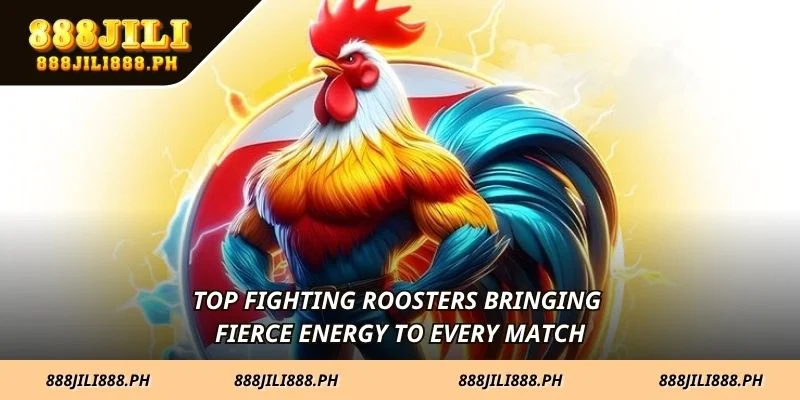 Top fighting roosters bringing fierce energy to every match
