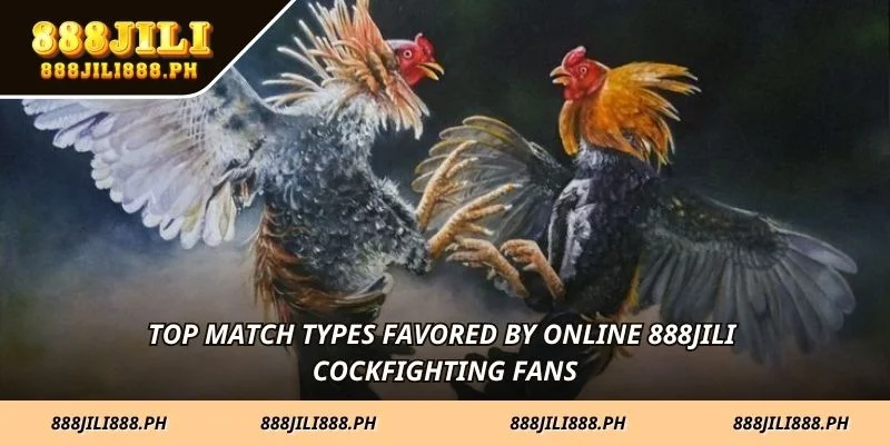 Top match types favored by online 888JILI cockfighting fans