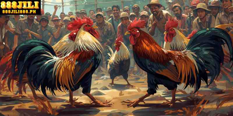 cockfight online live streaming Philippines