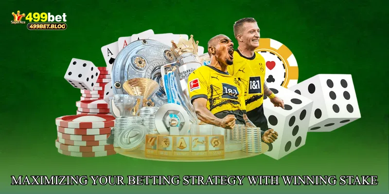 Maximizing Your Betting Strategy with Winning Stake Flow Hub