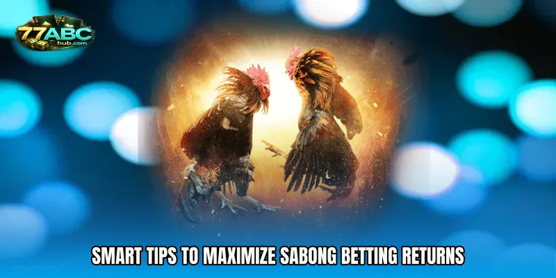 Smart Tips to Maximize Sabong Betting Returns