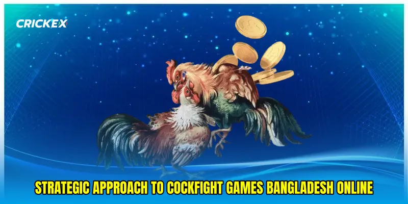 Strategic approach to Cockfight games Bangladesh online