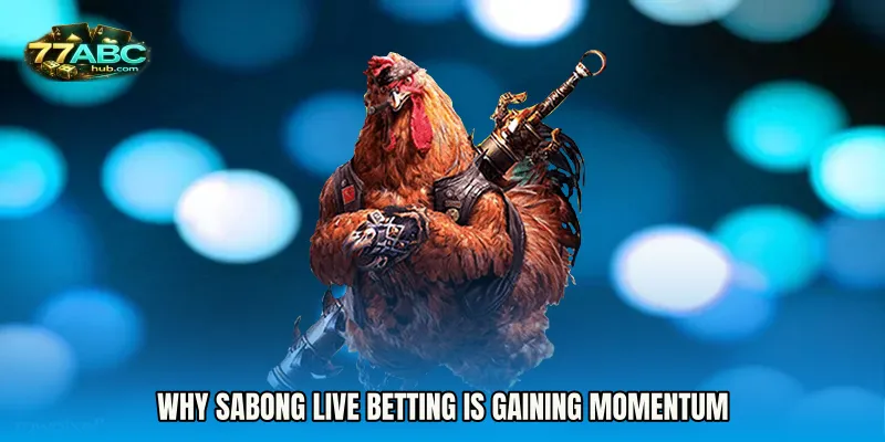 Why Sabong Live Betting Is Gaining Momentum